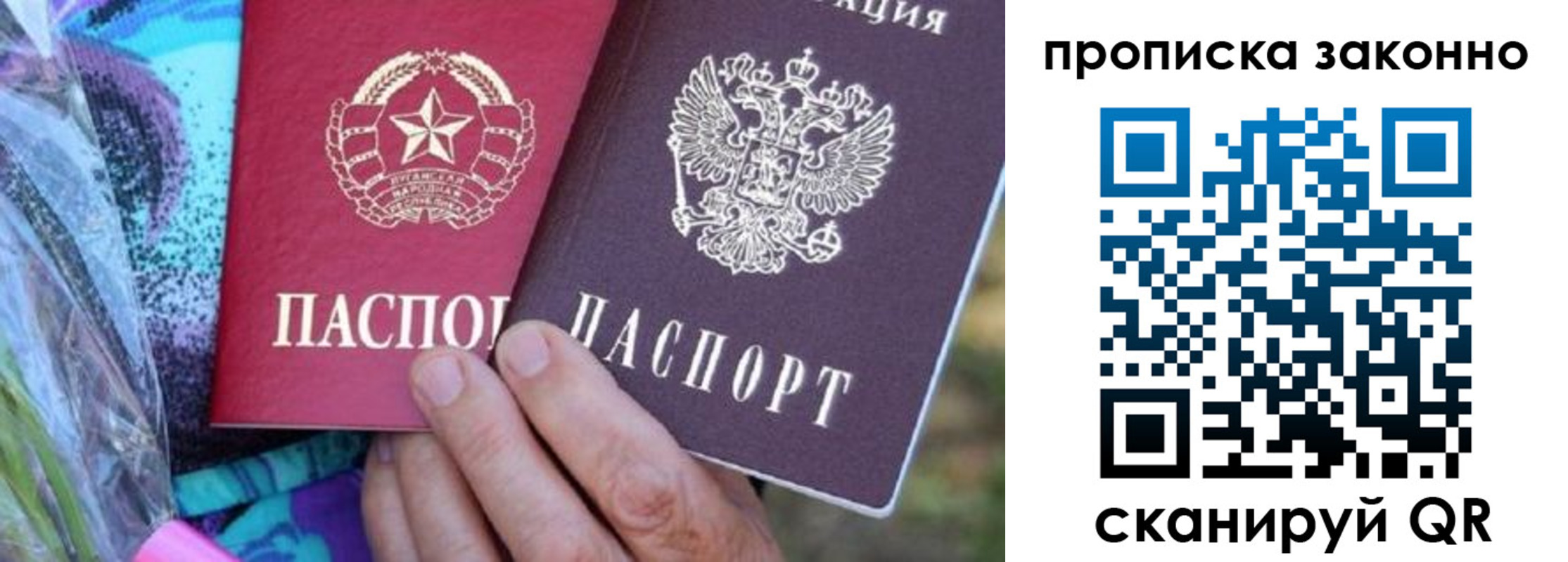 найти адрес прописки в Сафоново